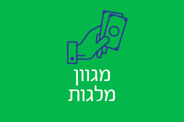 מגוון מלגות